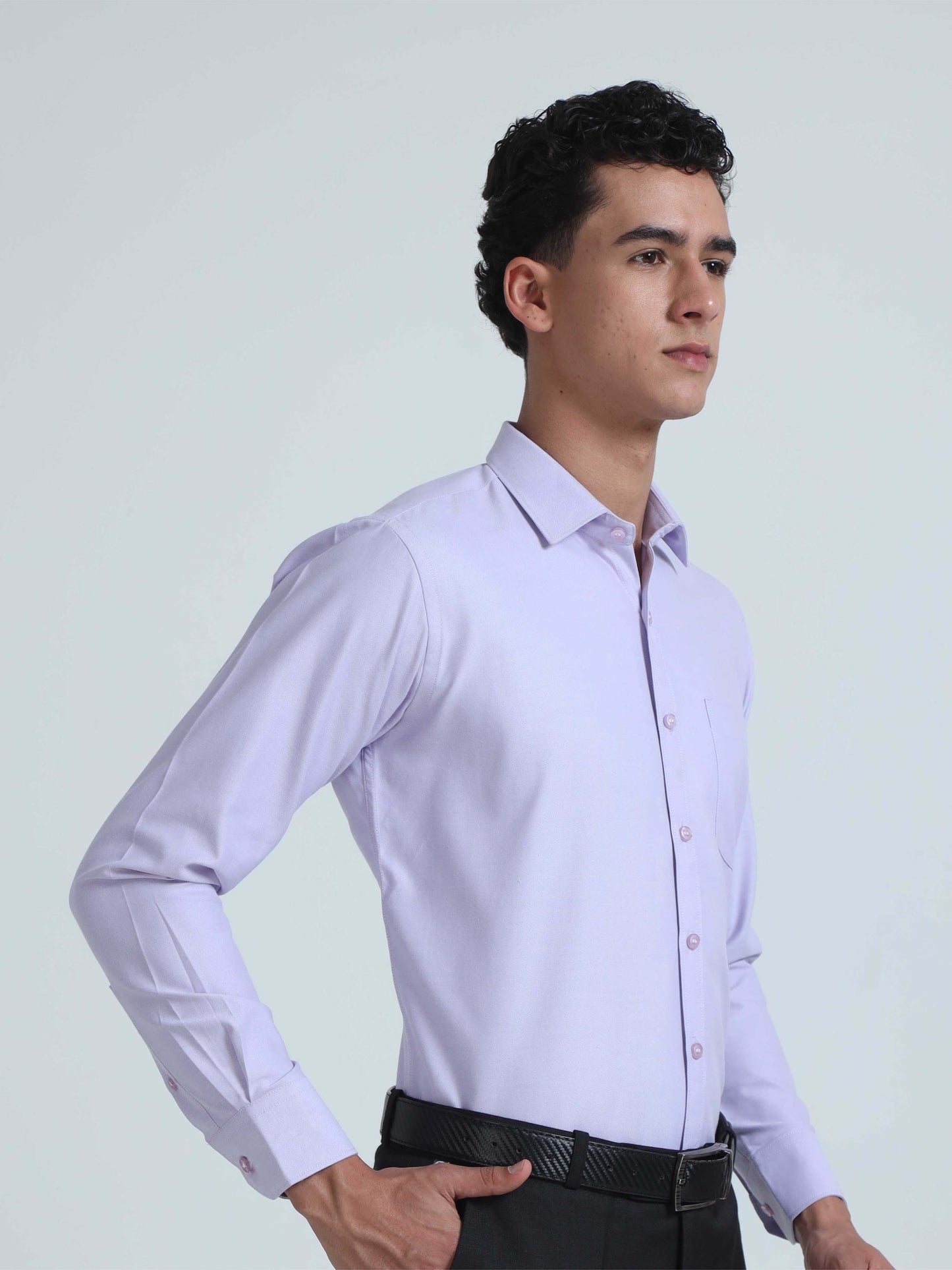 Light Purple Premium Oxford Office Formals-Plus Size